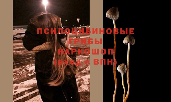 гидра Абаза