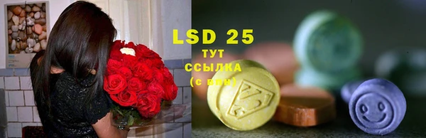 крисы Абдулино