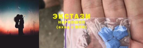 гидра Абаза