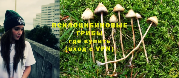 крисы Абдулино
