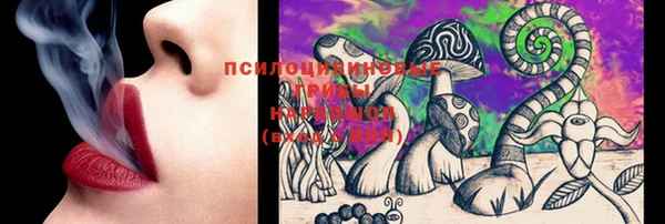 крисы Абдулино