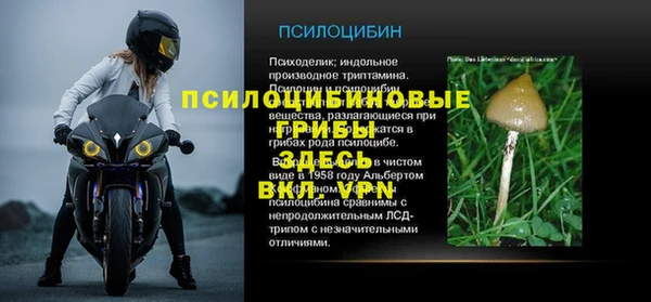 гидра Абаза